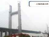 上海閔浦大橋